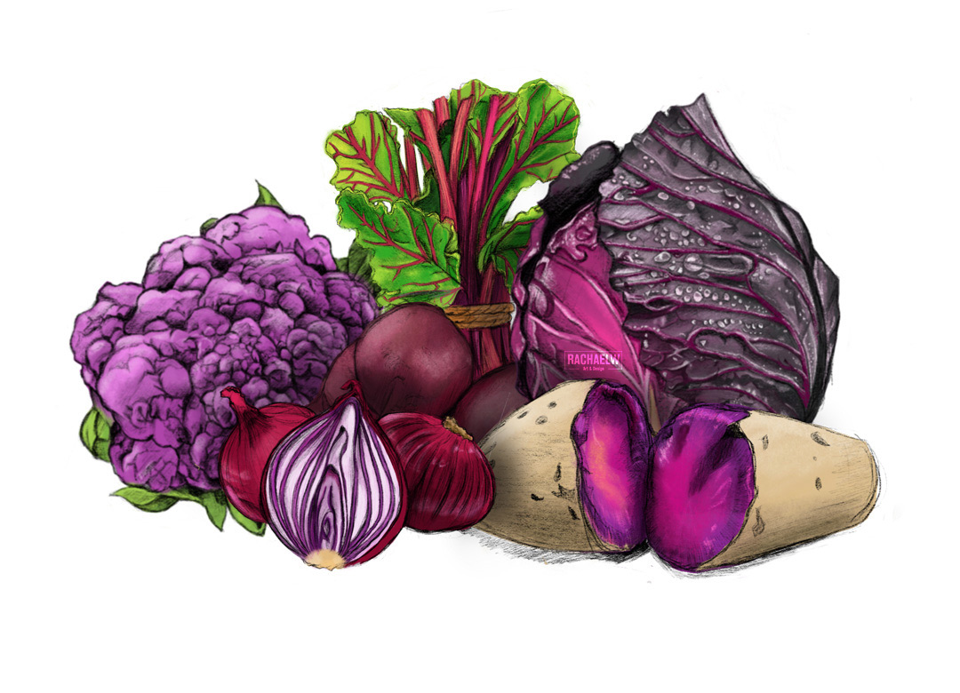 Vegetable illustrations: (Clockwise) Purple Cauliflower, Beetroot, Purple Cabbage, Purple Sweet Potato, Salad Onion